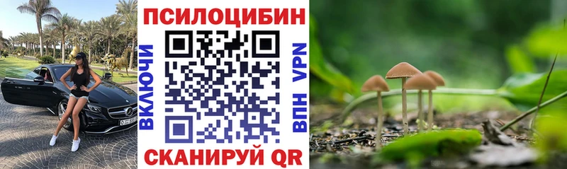 Галлюциногенные грибы Magic Shrooms  где продают   Духовщина 